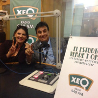 Especial con Alejandra Ávalos y Gualberto Castro