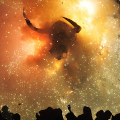 El Estudio Verde Y Oro