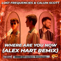 Lost Frequencies  Calum Scott - Where Are You Now (Alex Hart Remix)
