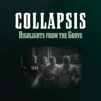 Collapsis: Highlights from the Grove