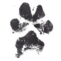 Transitions 9/24: A Eulogy for Lord Smithfield