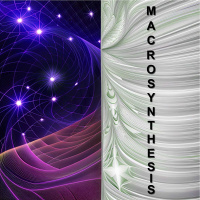 Macrosynthesis