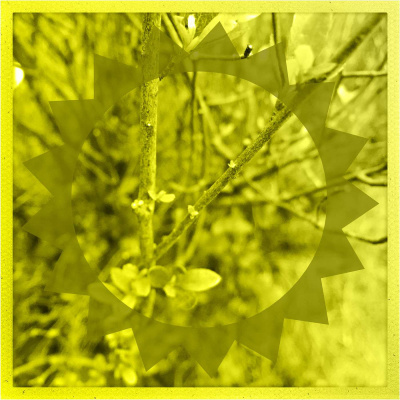 Mike Garrigan Podcast