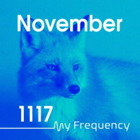 My Frequency 1117