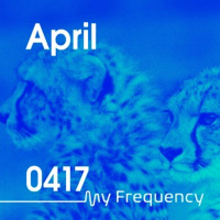 My Frequency 0417