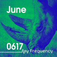 My Frequency 0617