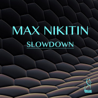 MAX NIKITIN - Slowdown (Original mix)