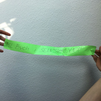 Selvskrevet #13 ML Buch