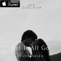 Birdy + Heizo - Let It All Go (Prod. By DJ ELNUR)