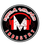Megasound Int,l