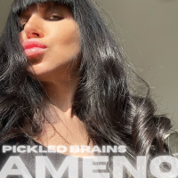 Era - Ameno (Pickled Brains Drum and Bass Cover)