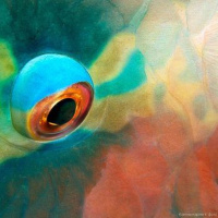 DJPABLICMIX — DEEPCHILL_2016