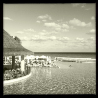 Dreaming of Sand and Sun (Drum  Bass)