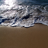 Cow Bombie (Progressive Breaks)