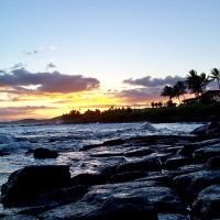 From the Vaults: Mahalo (Progressive)