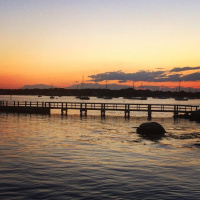 Willful Wonderings (Tech House and Progressive)