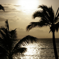 From the Vaults: Aha Inu (Progressive House)