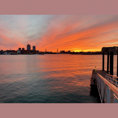 Good People Better Rise Up! - Alex Whalen