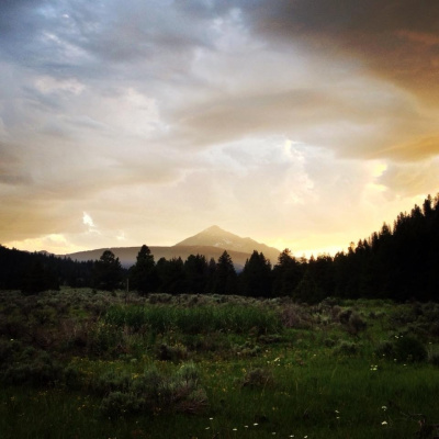 Good People Better Rise Up! - Alex Whalen