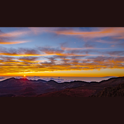 Good People Better Rise Up! - Alex Whalen