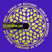 Silver Ivanov - Wonderful Life ft. Elaine [SC Cut]