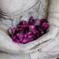 Ivan Spell - Bar Sessions XXIX