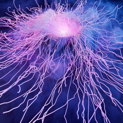 Jnt  Dissociative States