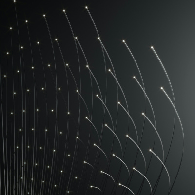 Jnt  Dissociative States