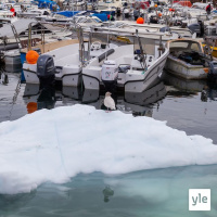 Kilpajuoksu arktiselle alueelle kiihtyy