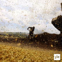 Miten pahasti korona horjuttaa maailman ruokaturvaa?