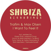 Max Olsen, Trafim - I Want To Feel It (Original Mix)