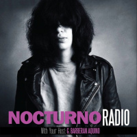 Especiales Nocturno - Joey Ramone