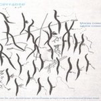 Vocerrante012 - Errática