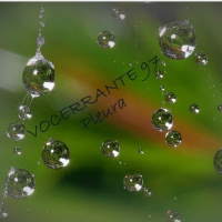 Vocerrante097 - Pleura