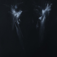 Vocerrante071 - El Bosque en Penumbras -