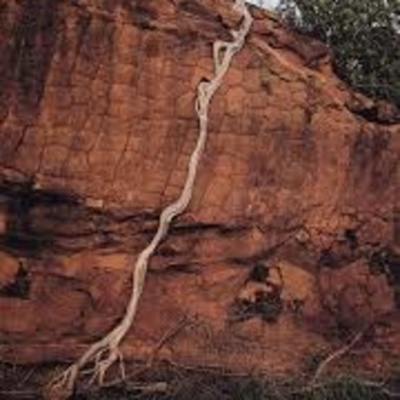 Podcast De Vocerrante