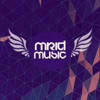 Без Пароля feat. Gurude - Киты (DJ MriD  Tony Kart Remix)