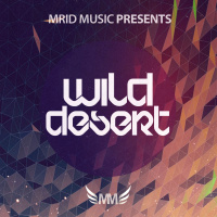 MriD Music - Wild Desert (Original Mix)