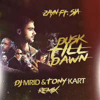 ZAYN ft. Sia - Dusk Till Dawn (DJ MriD  Tony Kart Remix)