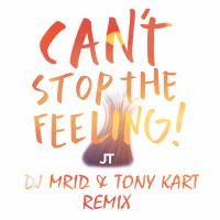 Justin Timberlake - Cant Stop the Feeling (DJ MriD  Tony Kart Remix)