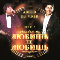 AmeD  DJ MriD - Любишь не любишь (2017)