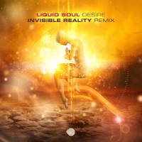 Liquid Soul - Desire (Invisible Reality Remix)- Out Feb 25!