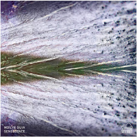 PREMIERE: Merlyn Silva - Field Trip (Original Mix) [SofaBeats]