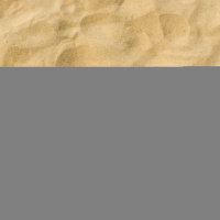 MC Podcast 11-05-21: Largest Potato, Sand,  More!