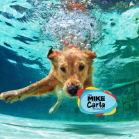 MC Podcast 8-26-21: Natl Dog Day, Amazon Remorse  More!