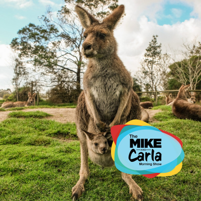 Mike  Carla Morning Show