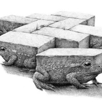 Que Pasa Con El Perro En El Patio (Was Los Mitm Hund Aus Dem Hof)