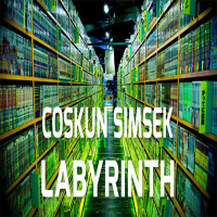 Coşkun Şimşek - Labyrinth 15.02.2016