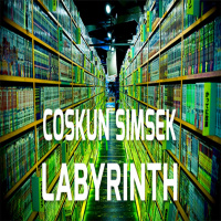 Coskun Simsek - Labyrinth 21.01.2019