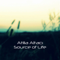 Atilla Altaci - Source Of Life #19